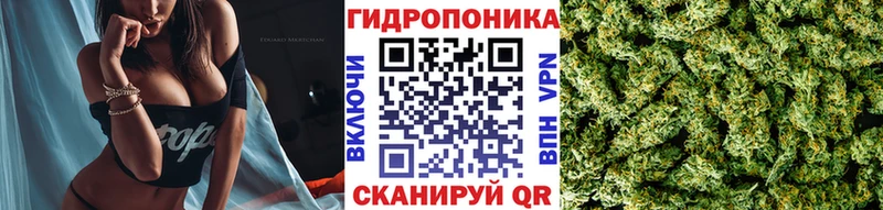 Бошки Шишки OG Kush  купить закладку  Нарьян-Мар 